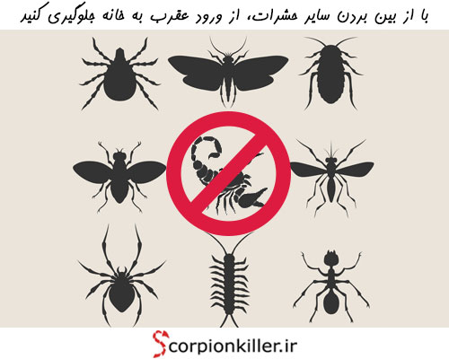 با از بین بردن سایر حشرات، از ورود عقرب به خانه جلوگیری کنید